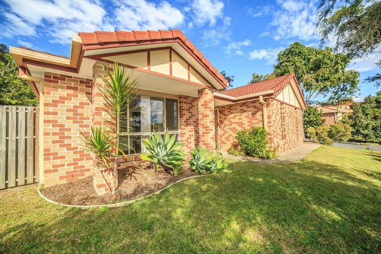 Main view of Homely house listing, 53 Tipuana Drive, Elanora QLD 4221