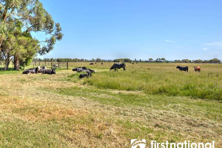 Fifth view of Homely acreageSemiRural listing, 230 Adeneys Road, Cannons Creek VIC 3977