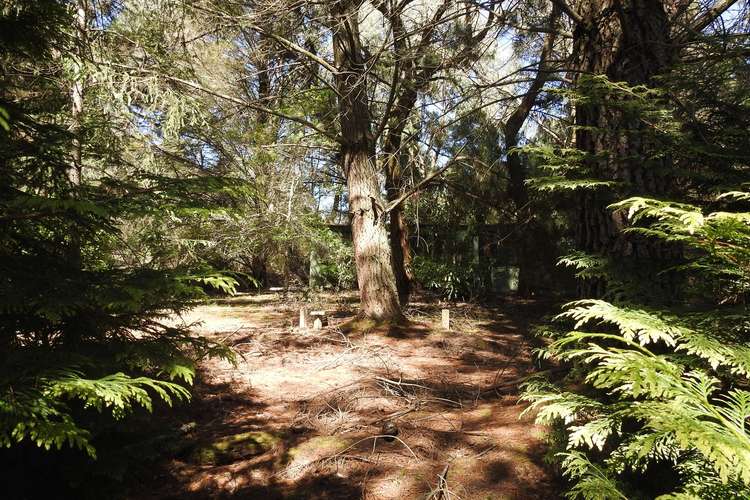 Main view of Homely residentialLand listing, 31 Coulson Road, Monbulk VIC 3793