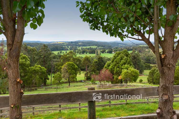 Fourth view of Homely house listing, 11 Brodrick Road, Macclesfield VIC 3782