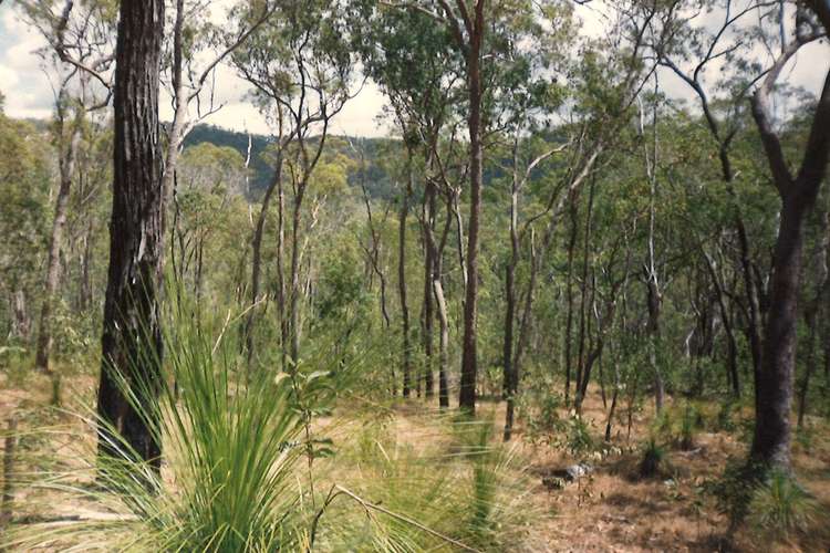 Main view of Homely lifestyle listing, Lot 10 Muller Road, Baffle Creek QLD 4674