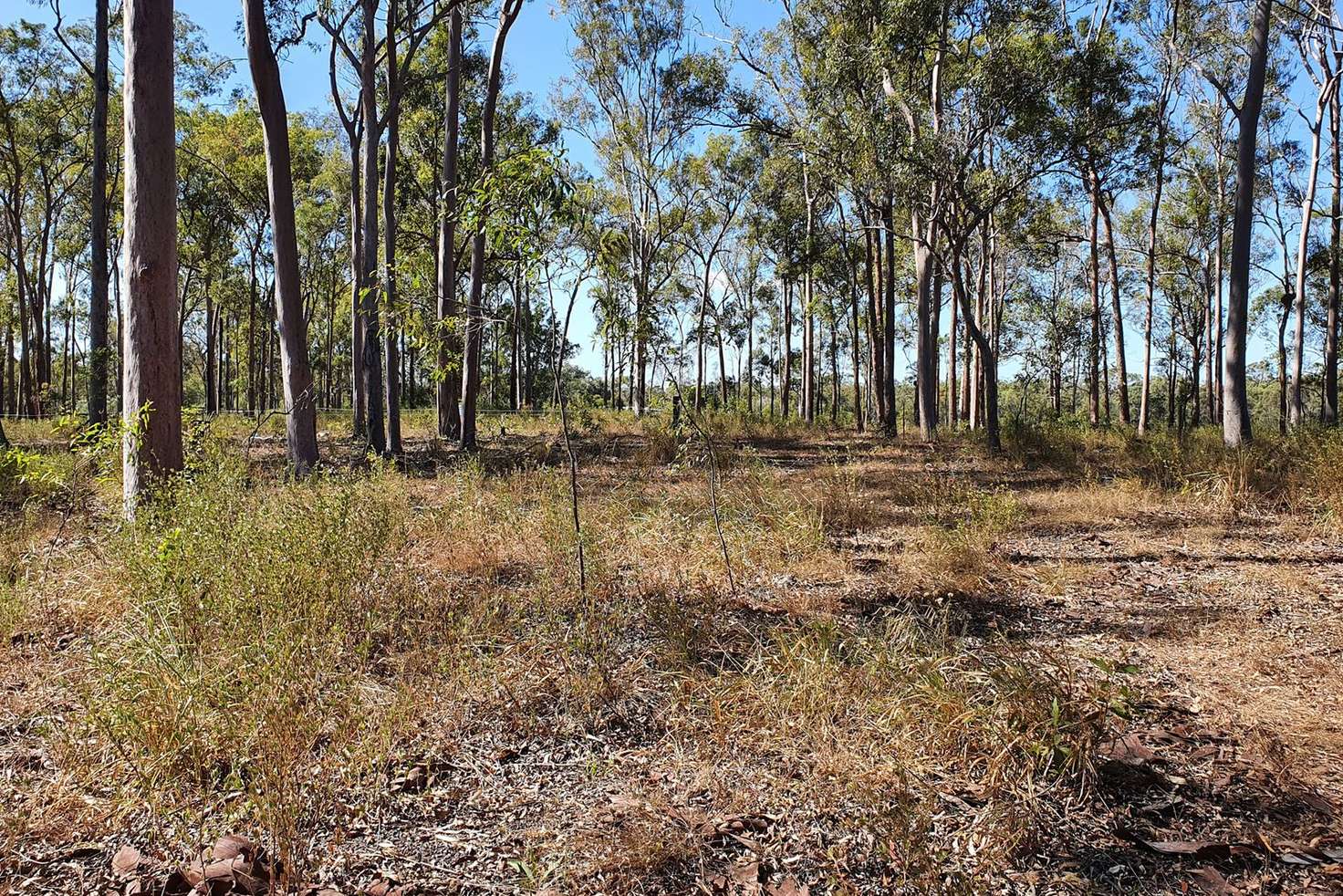 Main view of Homely residentialLand listing, Lot/4 & 5 Rosedale Road, Avondale QLD 4670