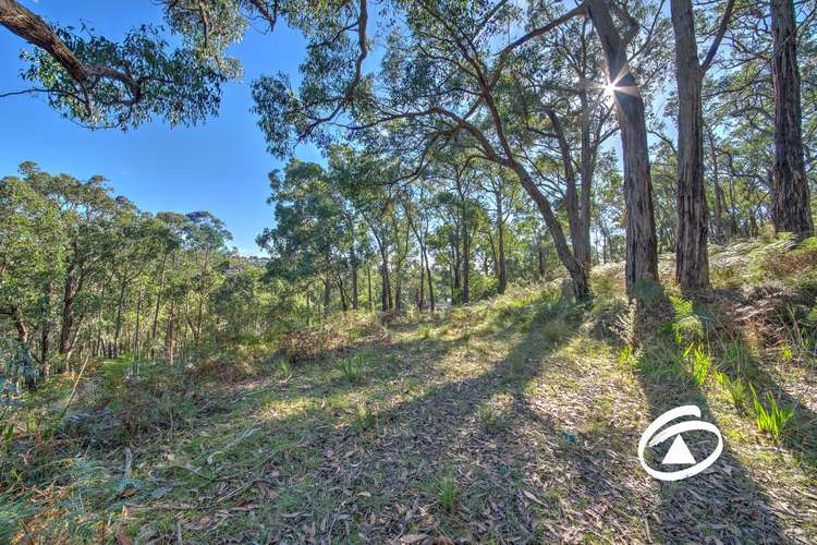 Main view of Homely acreageSemiRural listing, Lot 1 Borchardt Street, Guys Hill VIC 3807