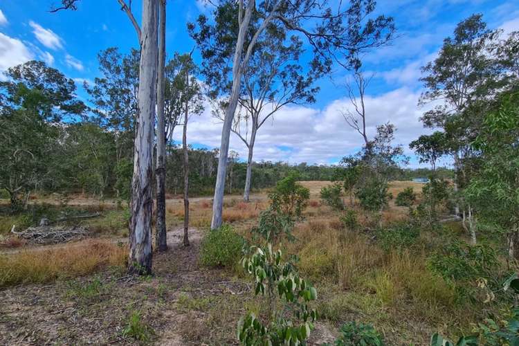 Main view of Homely ruralOther listing, 41 Old Toweran Road, Berajondo QLD 4674