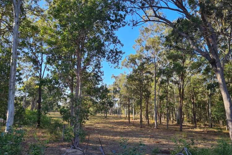 Fourth view of Homely ruralOther listing, 1159 Coast Road, Baffle Creek QLD 4674