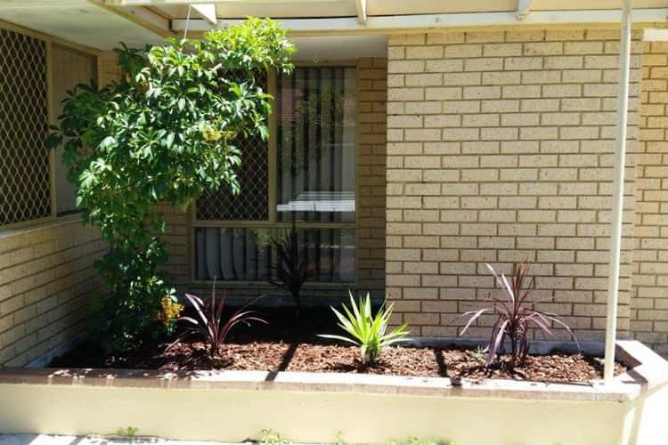 Second view of Homely house listing, 97 Kingfisher Avenue, Ballajura WA 6066