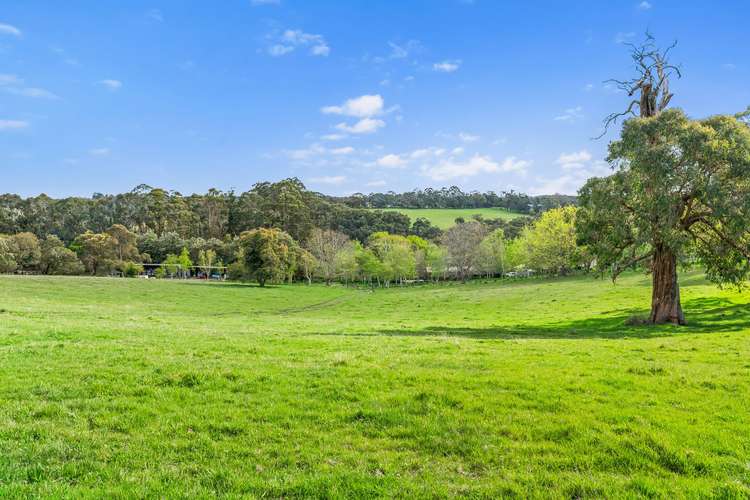 Third view of Homely acreageSemiRural listing, 650 Bourkes Creek Road, Dewhurst VIC 3808
