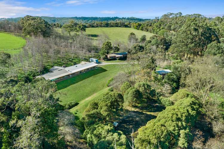 Fifth view of Homely acreageSemiRural listing, 650 Bourkes Creek Road, Dewhurst VIC 3808