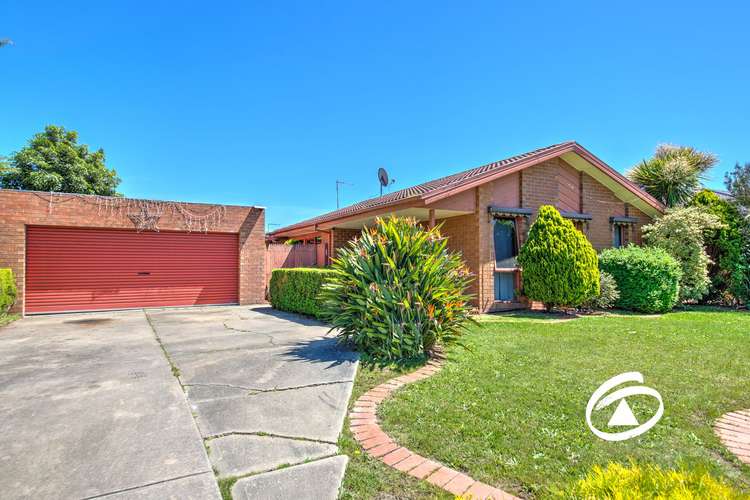 Main view of Homely house listing, 31 Anaconda Road, Narre Warren VIC 3805