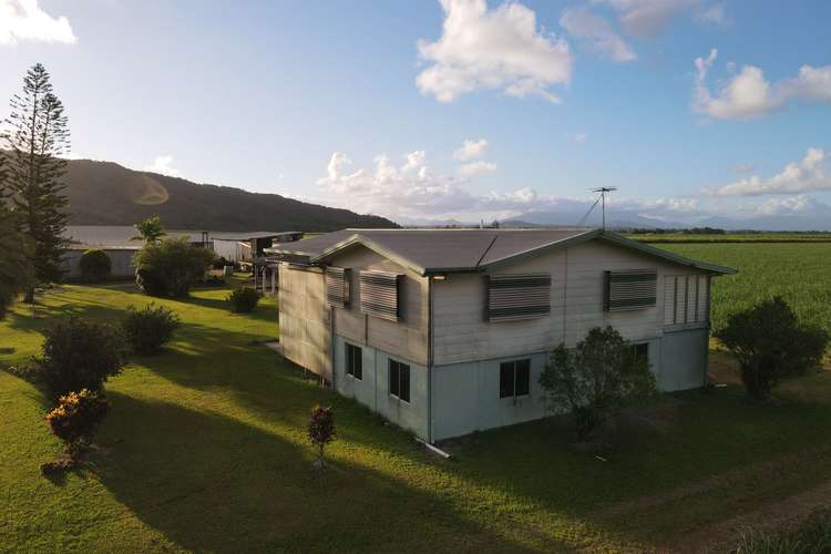 Main view of Homely cropping listing, 36 Cataldo Road, Boogan QLD 4871