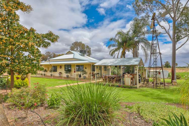 Third view of Homely horticulture listing, 85 Cassia Street, Red Cliffs VIC 3496