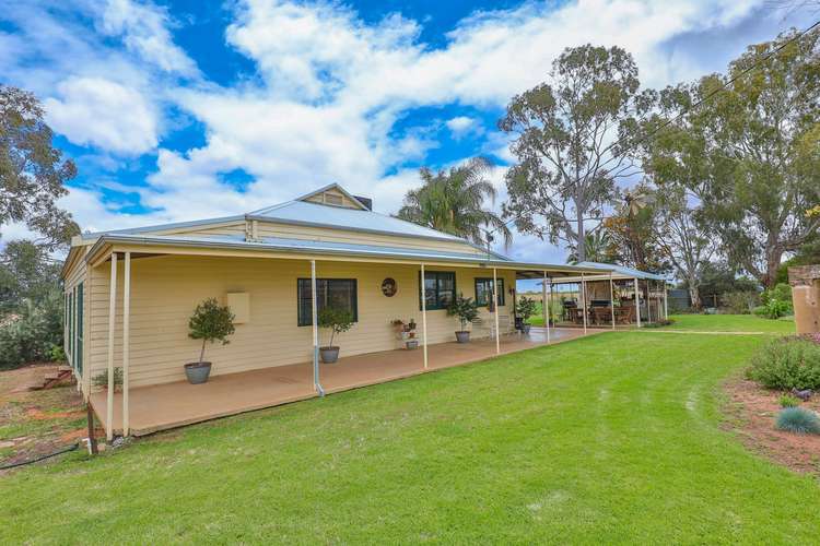 Sixth view of Homely horticulture listing, 85 Cassia Street, Red Cliffs VIC 3496