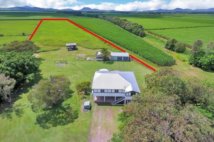Main view of Homely acreageSemiRural listing, 843 Munbura Road, Munbura QLD 4740