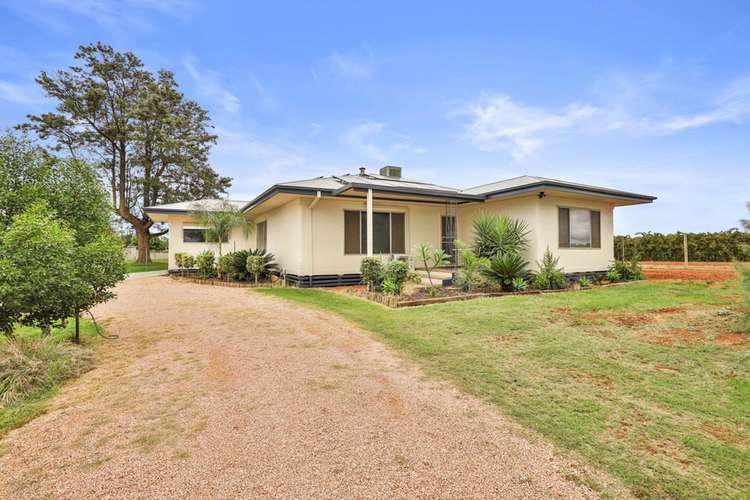 Main view of Homely house listing, 19 Lowan Avenue, Red Cliffs VIC 3496