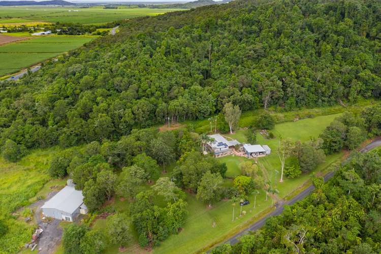 Second view of Homely house listing, 31 POPPI ROAD, Sandy Pocket QLD 4871