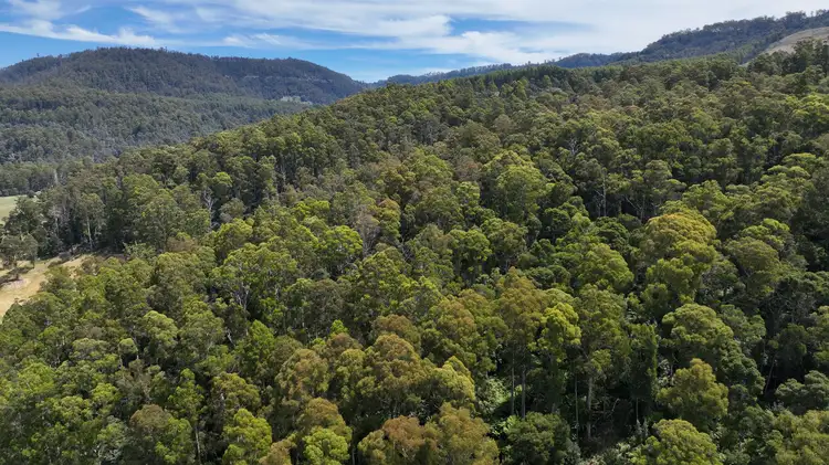 Second view of Homely land listing, 0 Echo Valley Rd, Liena TAS 7304