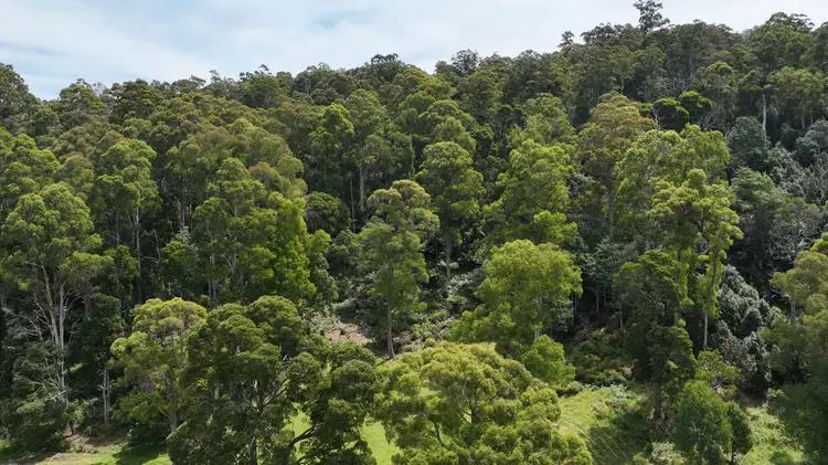 Fourth view of Homely land listing, 0 Echo Valley Rd, Liena TAS 7304