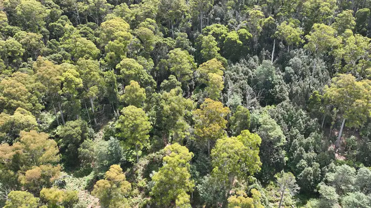 Fifth view of Homely land listing, 0 Echo Valley Rd, Liena TAS 7304