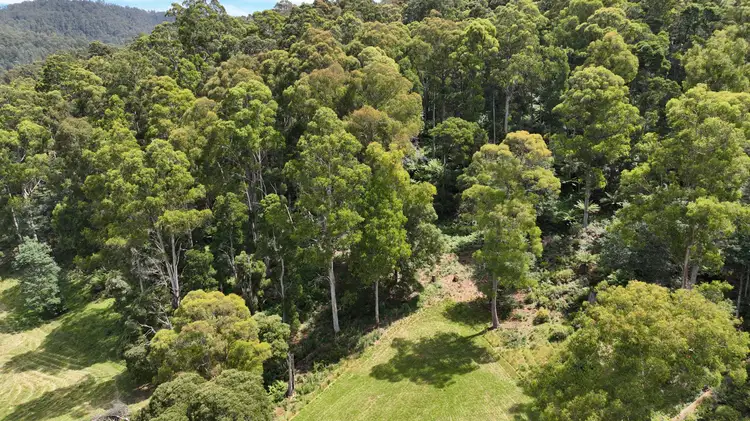 Sixth view of Homely land listing, 0 Echo Valley Rd, Liena TAS 7304