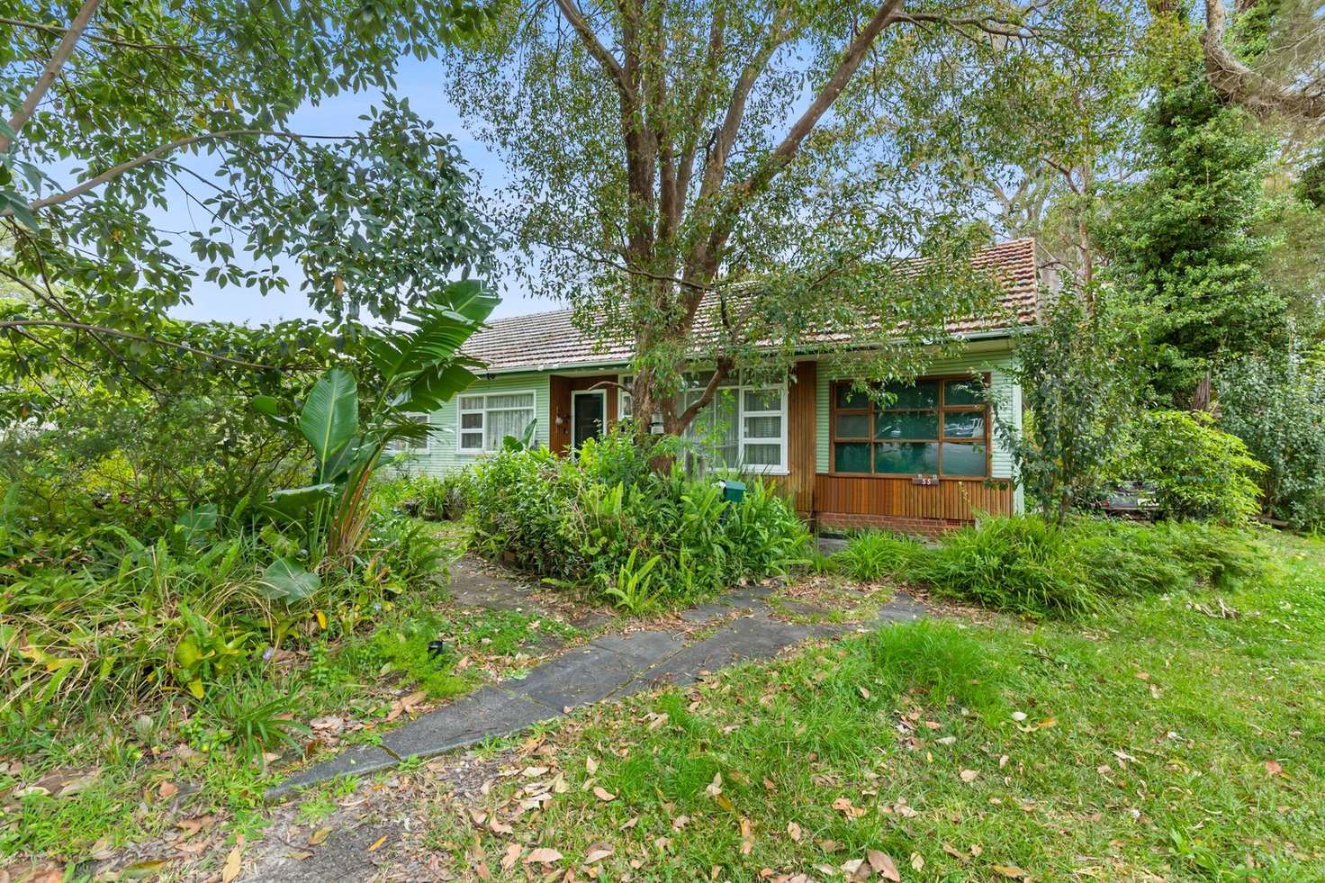 Main view of Homely house listing, 55 Fitzpatrick Avenue, Frenchs Forest NSW 2086