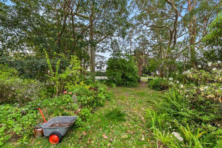 Fifth view of Homely house listing, 55 Fitzpatrick Avenue, Frenchs Forest NSW 2086