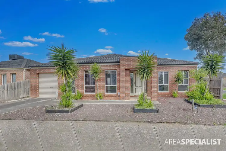 11 Fetlock drive