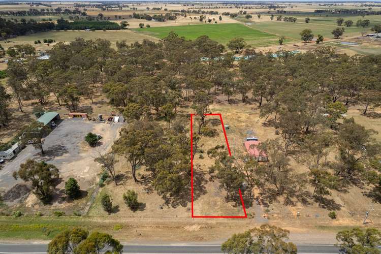 3246 Bridgewater-Maldon Road, Newbridge VIC 3551