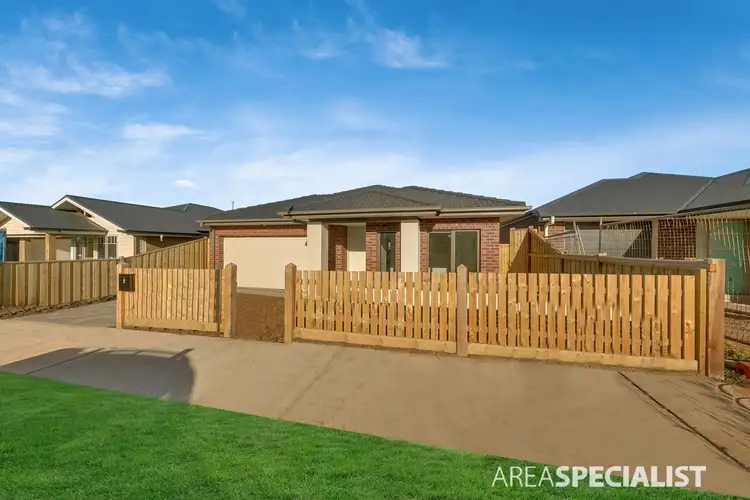 6 Pampas Street