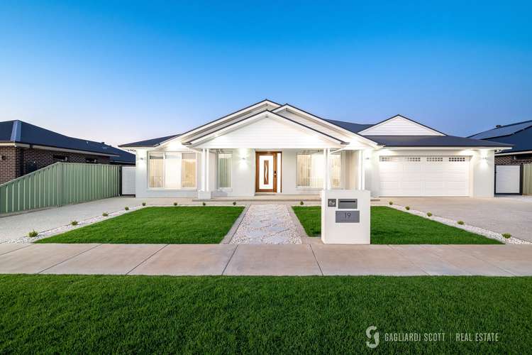 Main view of Homely house listing, 19 Haileybury Street, Shepparton VIC 3630