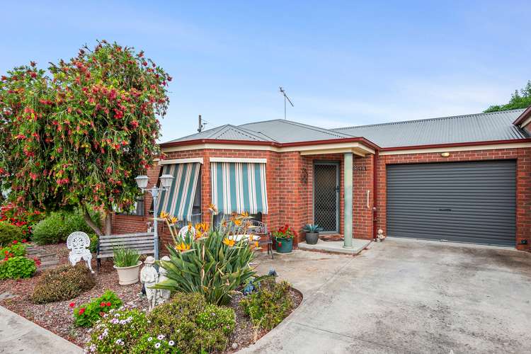 4/244 Gladstone Street, Maryborough VIC 3465