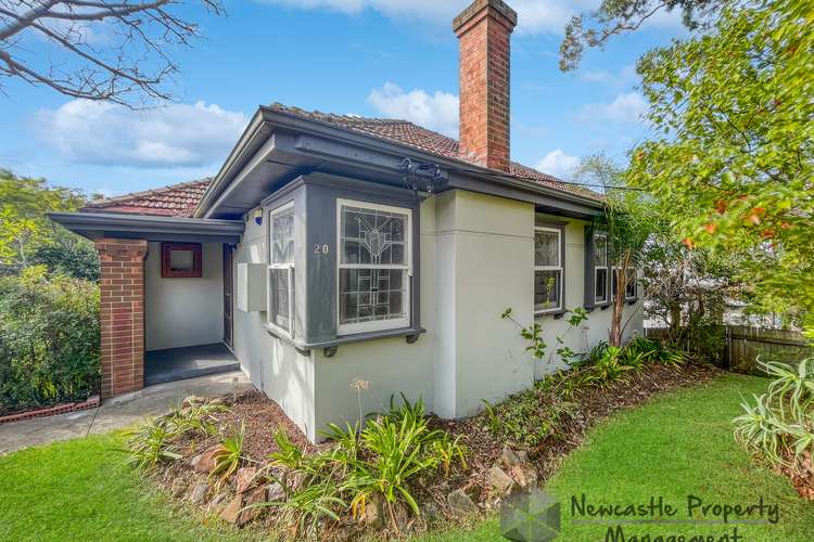 Main view of Homely house listing, 20 Aldyth Street, New Lambton NSW 2305