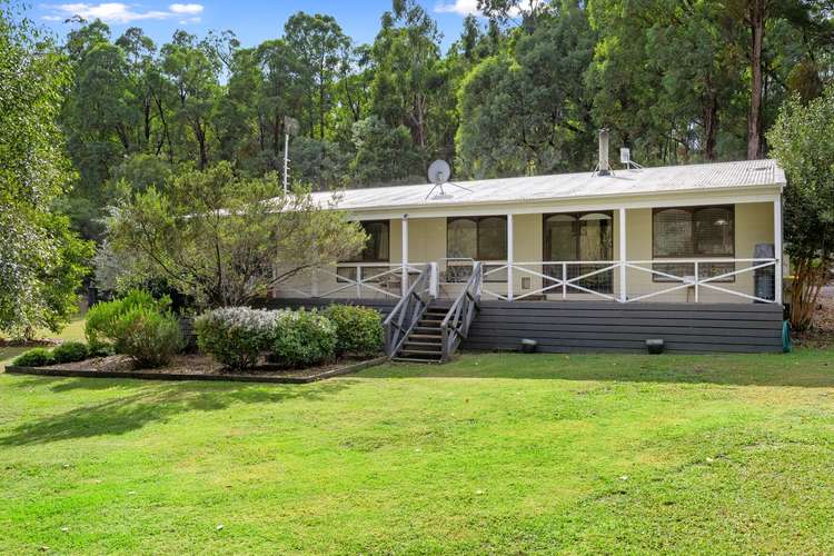 Main view of Homely house listing, 13 Buxton-Marysville Road, Buxton VIC 3711