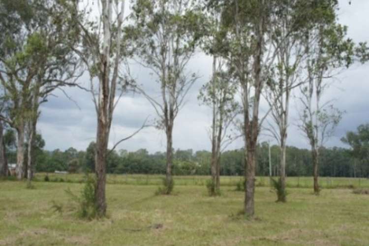 Third view of Homely lifestyle listing, Lot 205 Bucketts Way, Booral NSW 2425