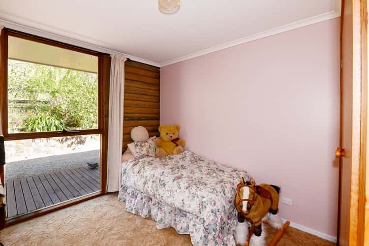 Sixth view of Homely house listing, 170 Big Pats Creek Road, Big Pats Creek VIC 3799