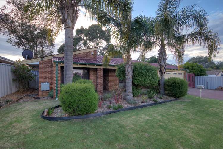 Main view of Homely house listing, 3 Coronilla Way, Forrestfield WA 6058