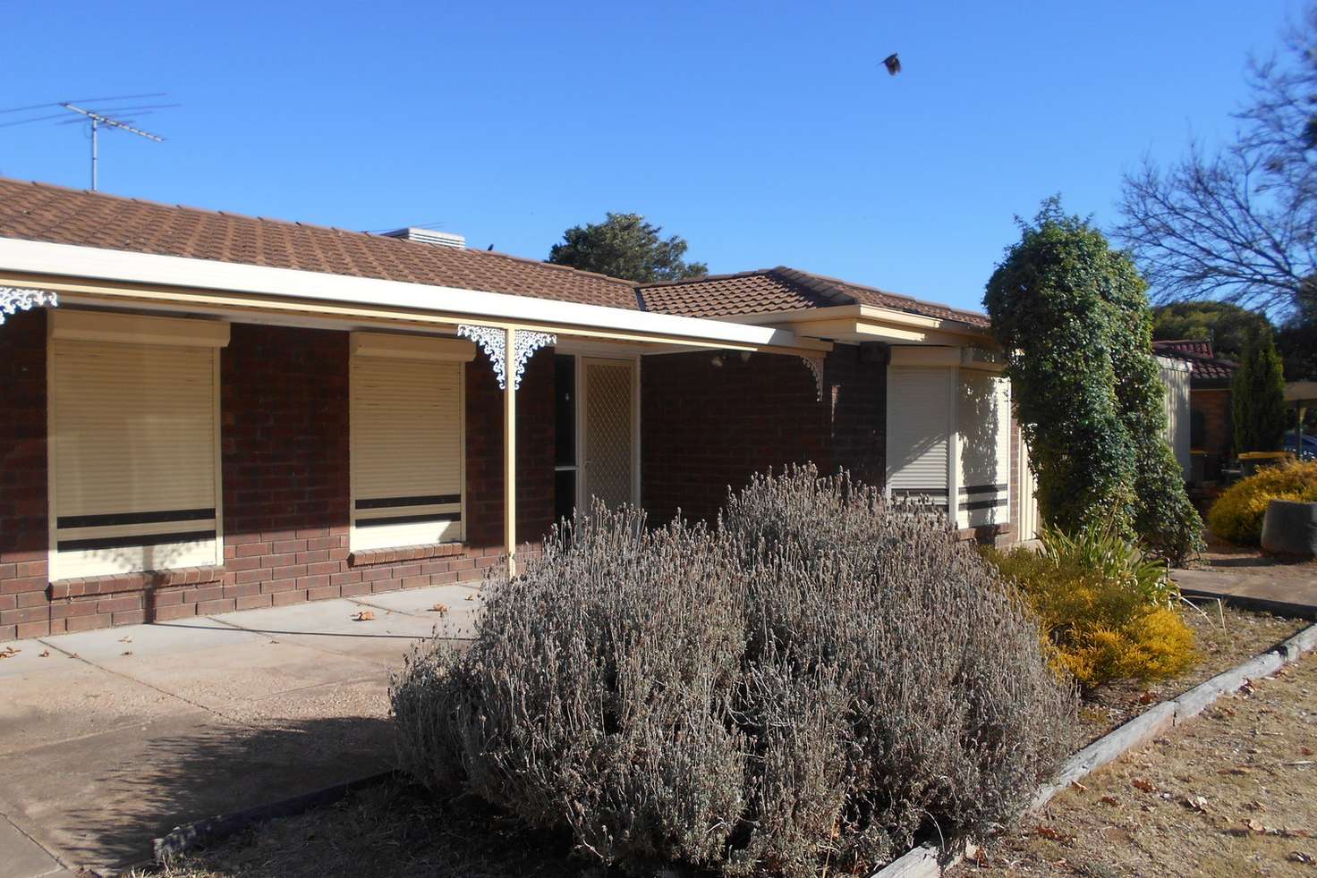 Main view of Homely house listing, 29 President Avenue, Andrews Farm SA 5114