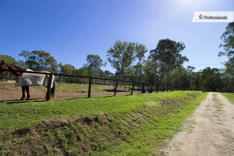 Second view of Homely ruralOther listing, 164-176 Hotz Road, Logan Village QLD 4207