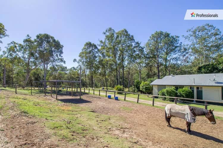 Third view of Homely ruralOther listing, 164-176 Hotz Road, Logan Village QLD 4207