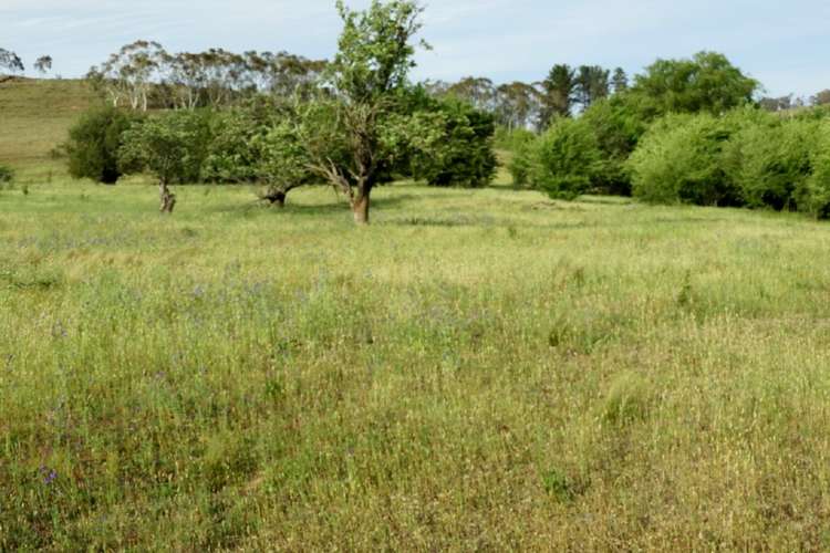 Main view of Homely lifestyle listing, Lot 25 Pomeroy Road, Goulburn NSW 2580