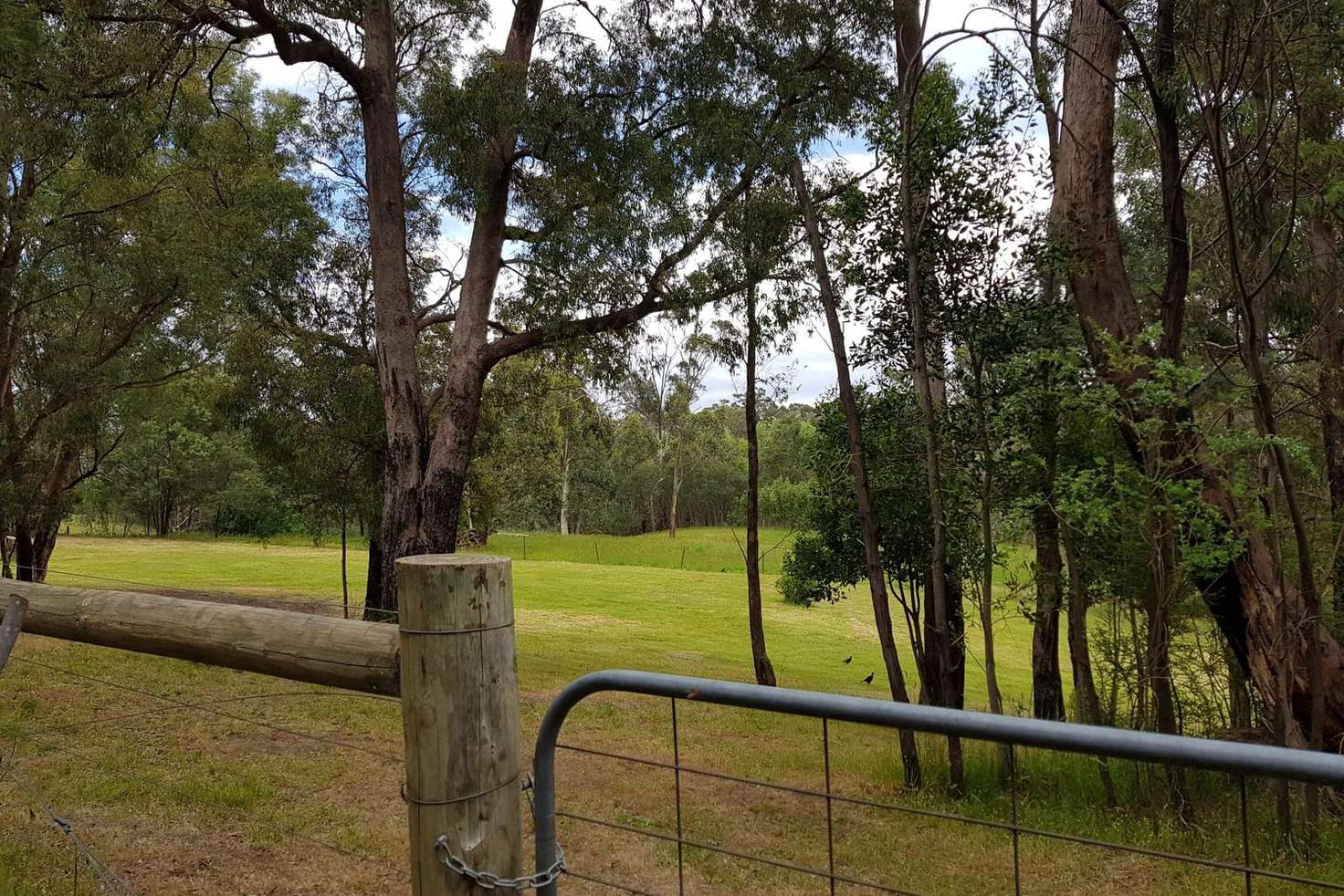 Main view of Homely residentialLand listing, 3 Cameron Close, Buxton VIC 3711