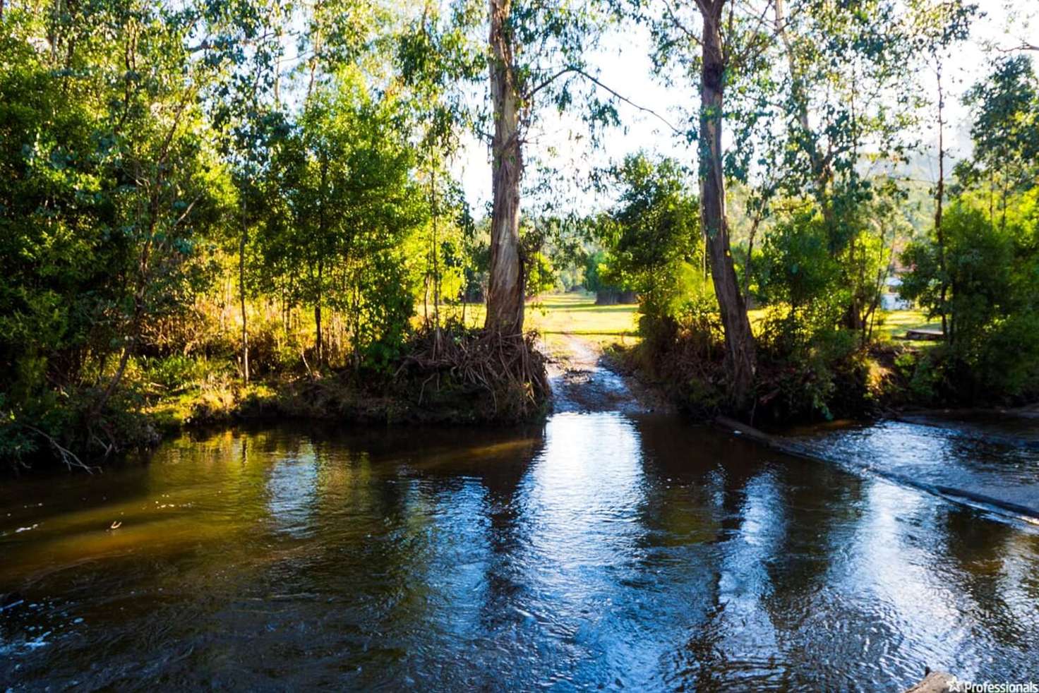 Main view of Homely livestock listing, 1409 Maroondah Highway, Narbethong VIC 3778