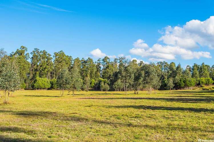 Sixth view of Homely livestock listing, 1409 Maroondah Highway, Narbethong VIC 3778