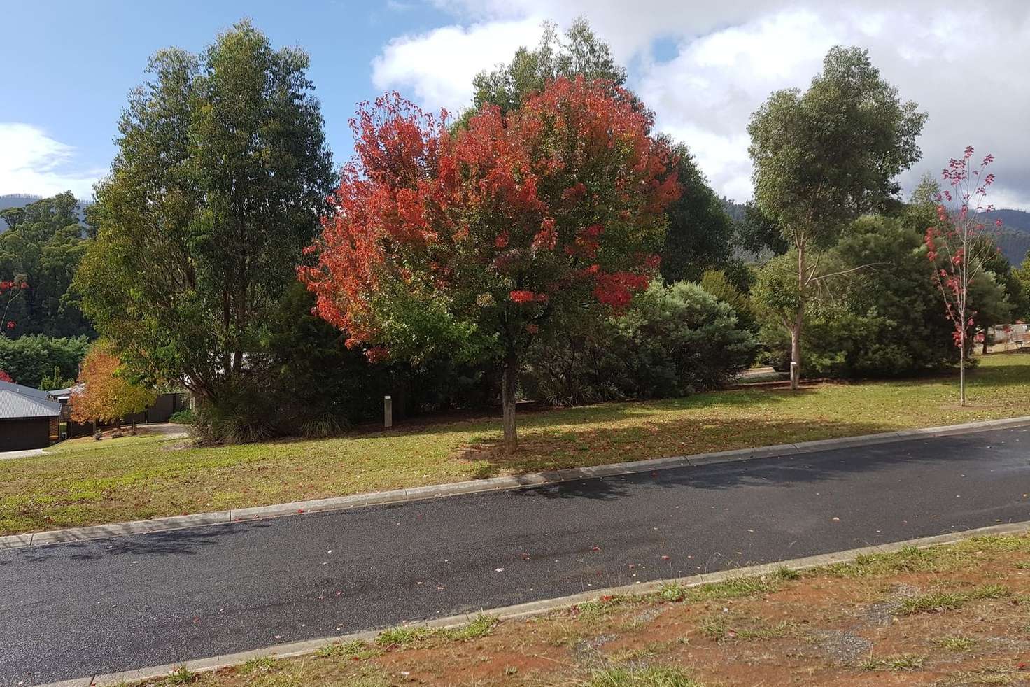 Main view of Homely residentialLand listing, 12 Gould Terrace, Marysville VIC 3779