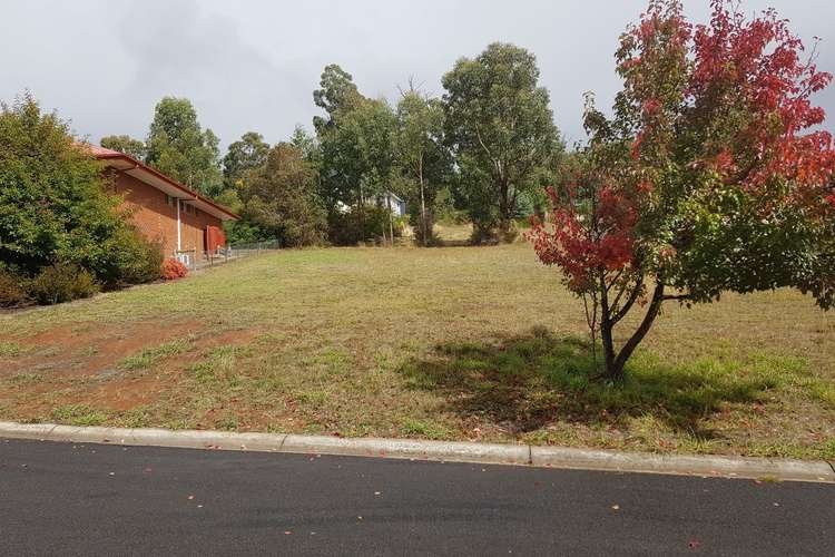 Fifth view of Homely residentialLand listing, 12 Gould Terrace, Marysville VIC 3779