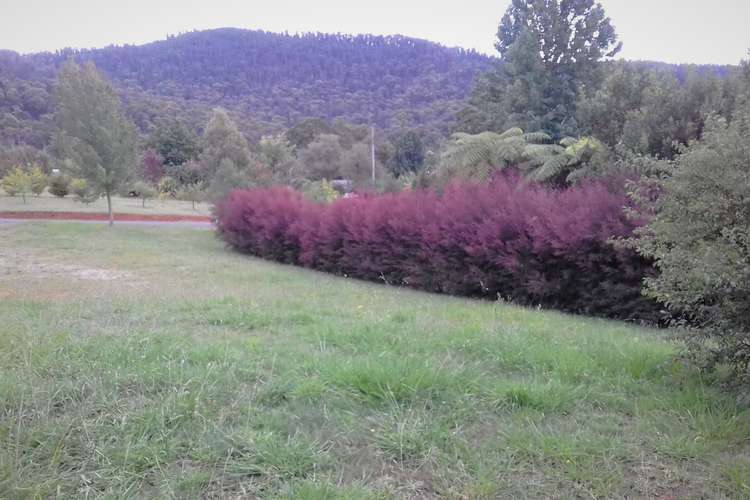 Main view of Homely residentialLand listing, 9 Old Melbourne Road, Marysville VIC 3779