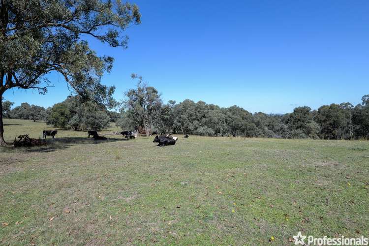 Seventh view of Homely residentialLand listing, 385 Sheepstation Creek Road, Yellingbo VIC 3139