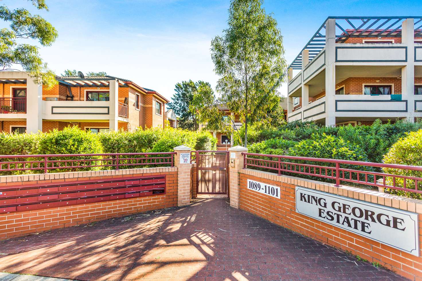 Main view of Homely apartment listing, 3/1089-1101 Canterbury Road, Wiley Park NSW 2195