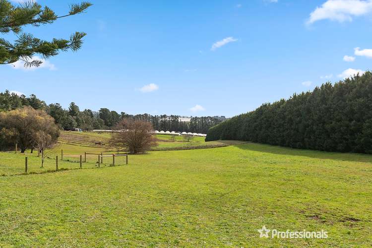 Third view of Homely house listing, 175 Graham Road, Wandin East VIC 3139