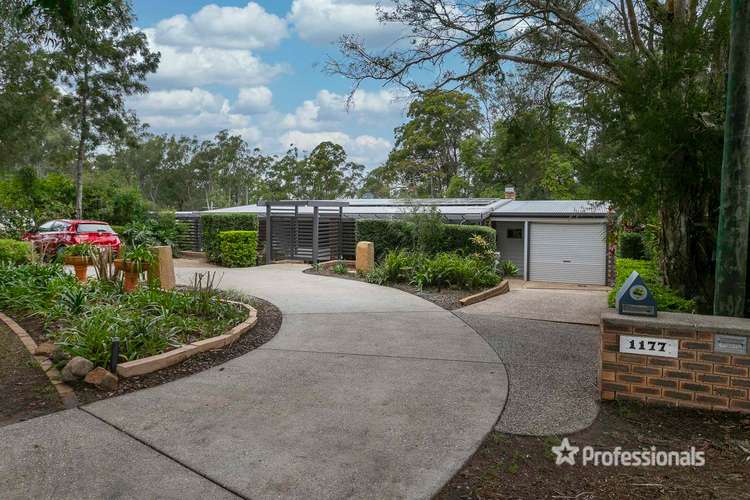Fifth view of Homely house listing, 1177 Oakey Flat Road, Narangba QLD 4504
