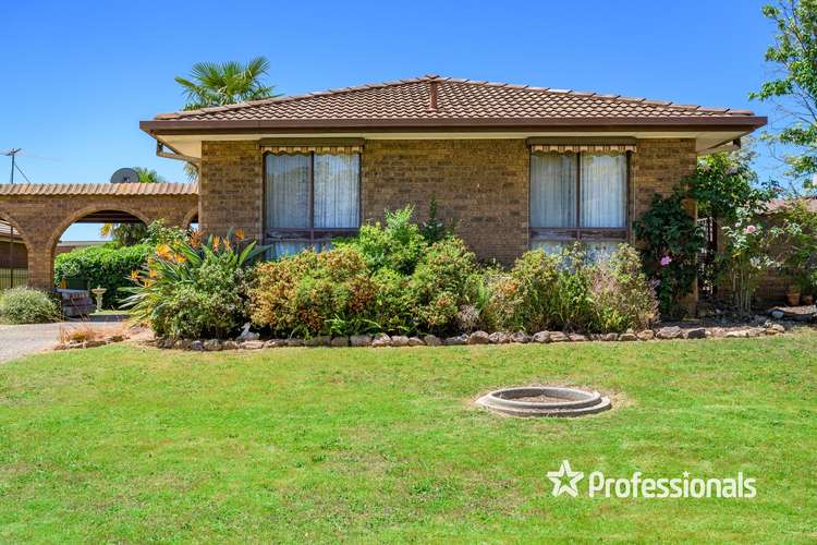 Fourth view of Homely house listing, 17 Haley Crescent, Wodonga VIC 3690